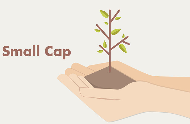 Small value cap funds: Exploring the potential