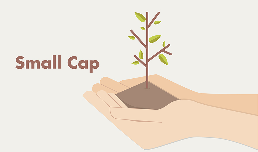 Small value cap funds